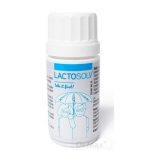 Lactosolv: kapsuly, cena, skúsenosti, dávkovanie a účinky