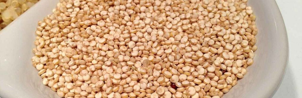 Quinoa: Účinky na chudnutie aj iné oblasti, zloženie a aké látky obsahuje a použitie